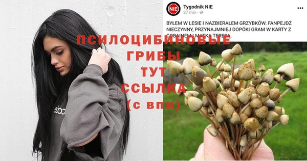 бутират Алексин