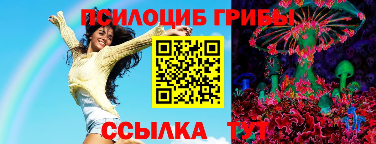 Канаш  Псилоцибиновые грибы Magic Shrooms  даркнет сайт  Вход с VPN 
