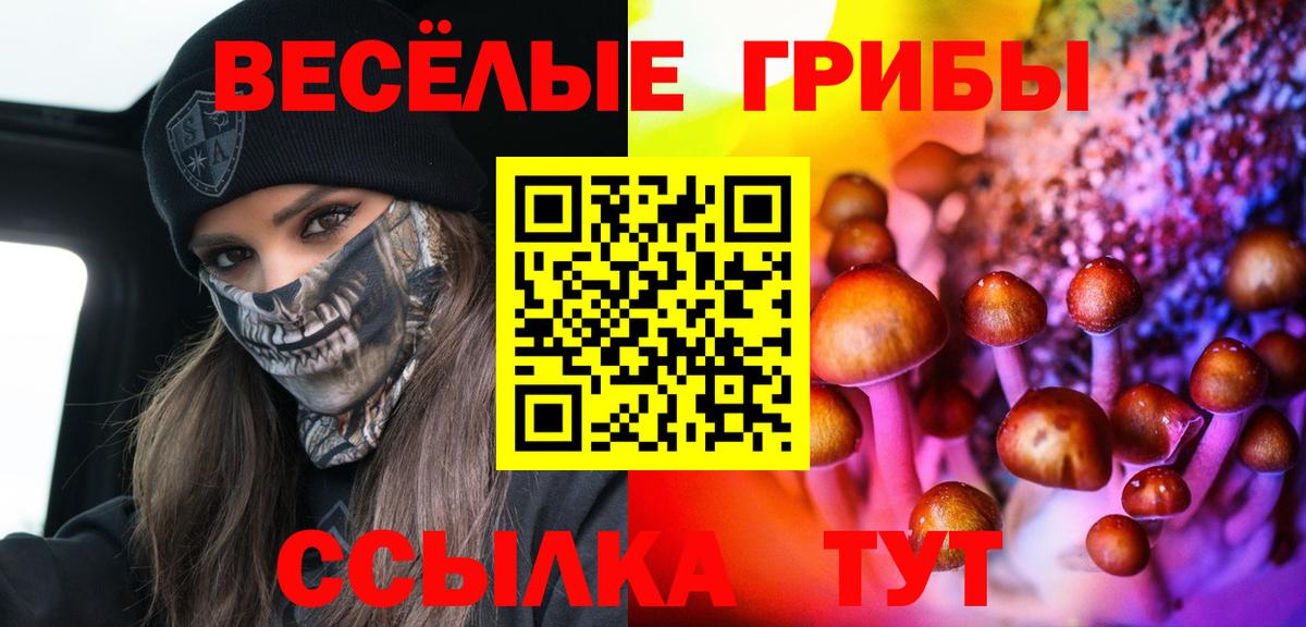 Галлюциногенные грибы прущие грибы Канаш